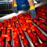 Pomidory Nolano Passata 400g